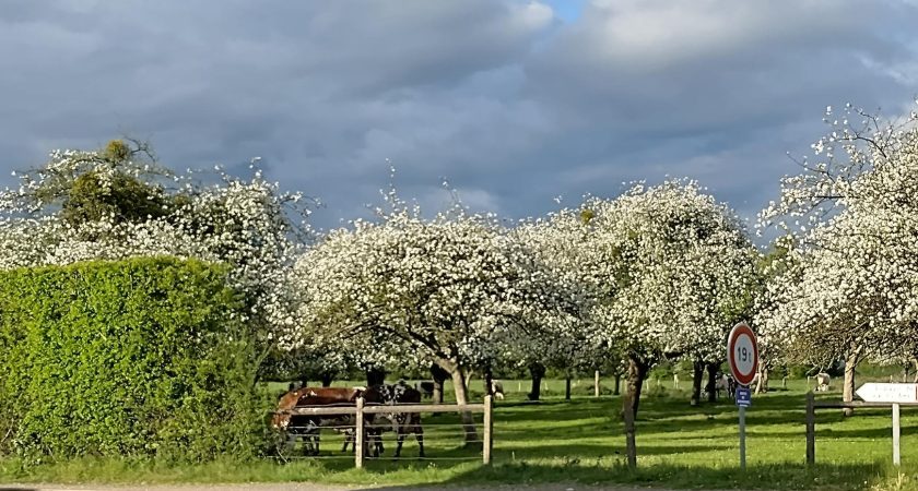 Villa Gallia – Pääsiäinen Normandiassa 2.4.-6.4.2026