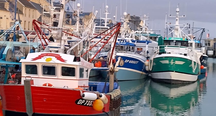 Ranskan etäkurssi – l’aventure sur l’île de Tatihou.  8.6. –10.8.2026